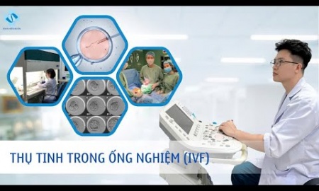 Quy trình IVF